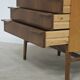 Secretary / Two-tone desk Frantisek Mezulanik for Up Zavody 1960