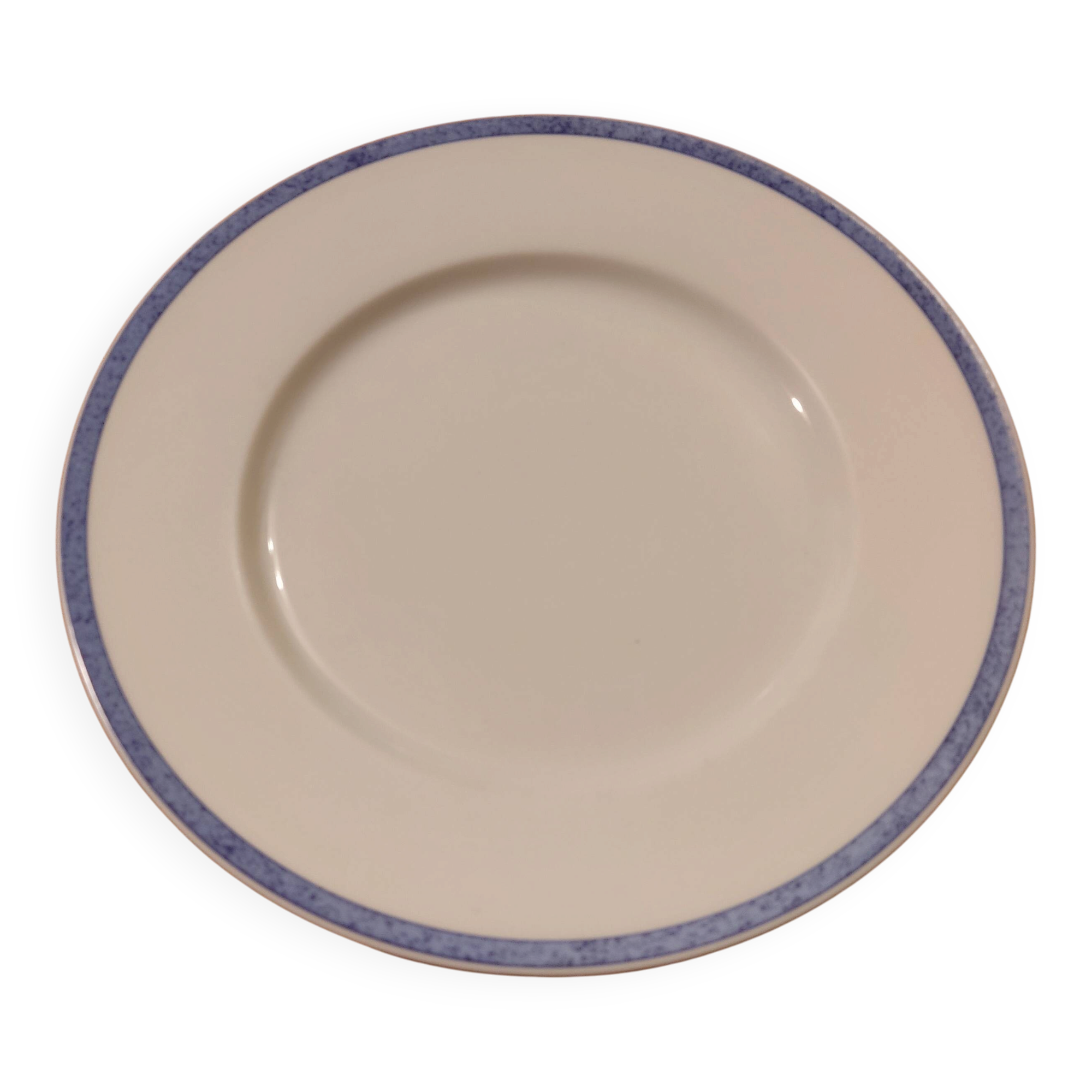 Limoges porcelain plate with a blue speckled rim.