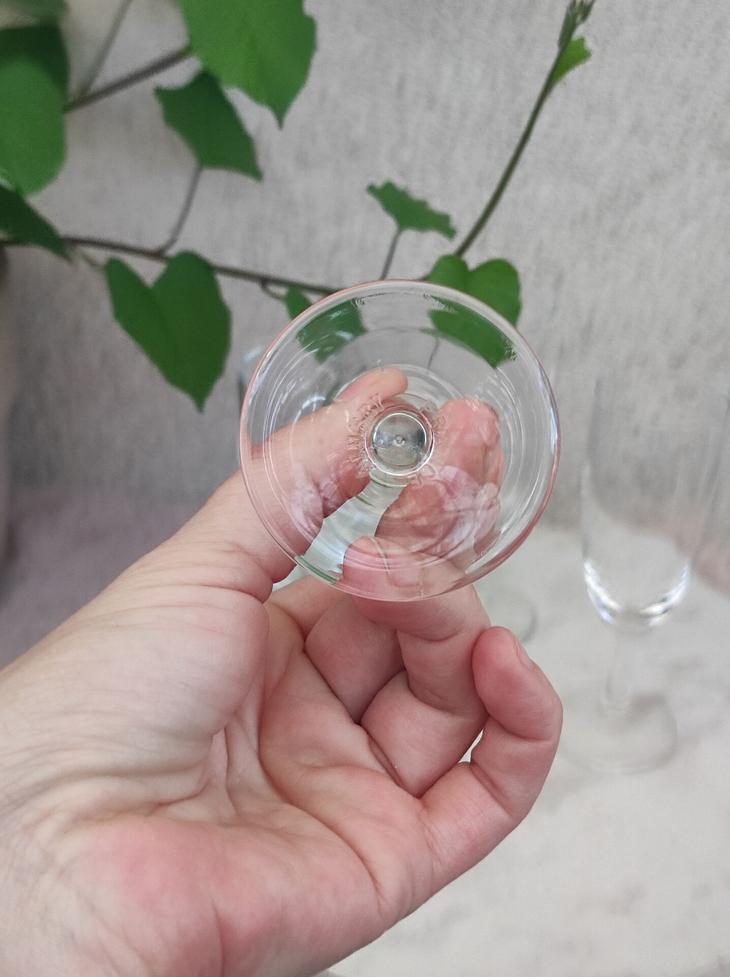 Champagne flutes
