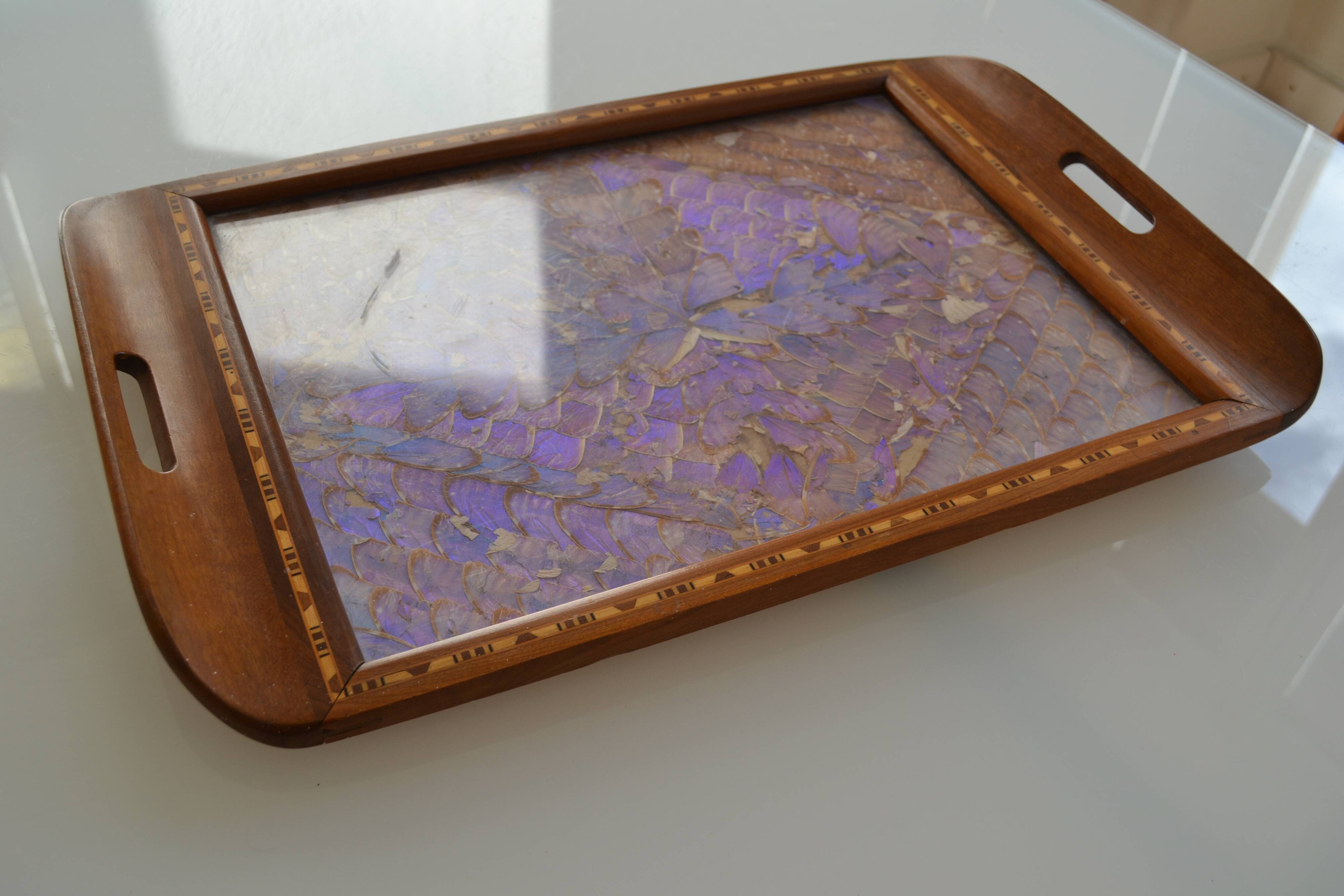Plateau butterfly wings under glass exotic wood and marquetry Brazil
