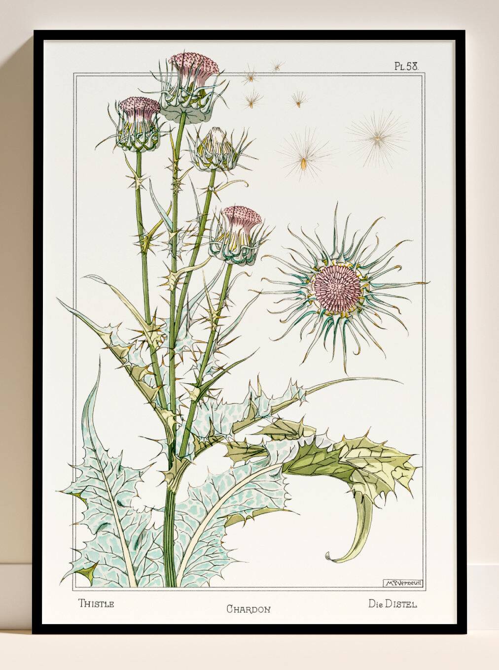 Poster “Thistle”, after an Art Nouveau lithograph from 1897
