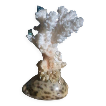 Retro coral and shell trinket