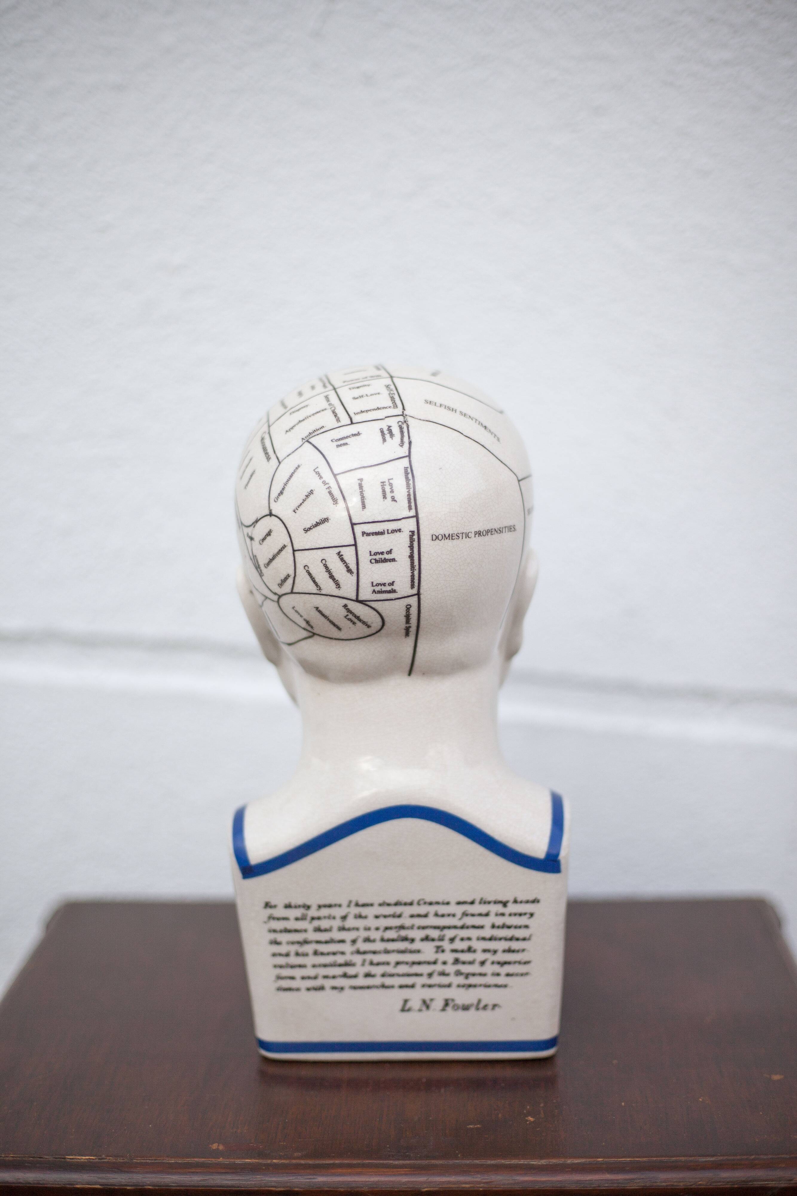 Porcelain bust, Fowler phrenology head, cabinet of curiosities, collection
