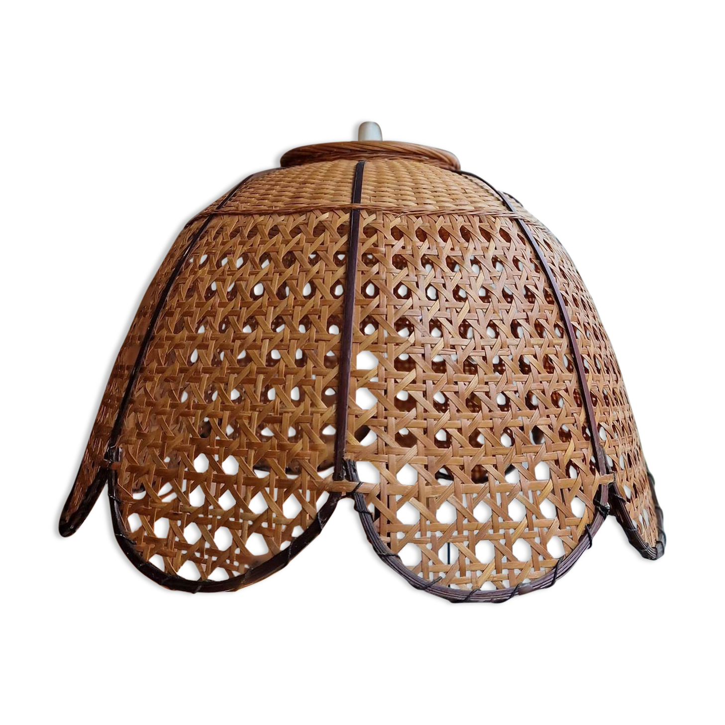 Flower suspension in rattan and wicker