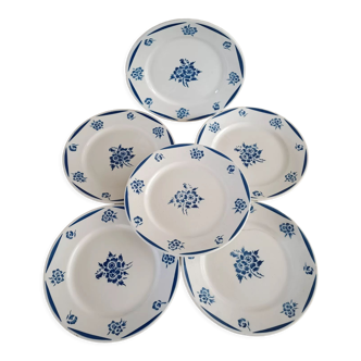 Lot de 6 assiettes terre de fer badonviller