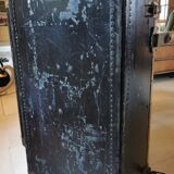 Transport trunk