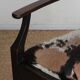Bridge armchair in wood and leather, work from the early 20th century.