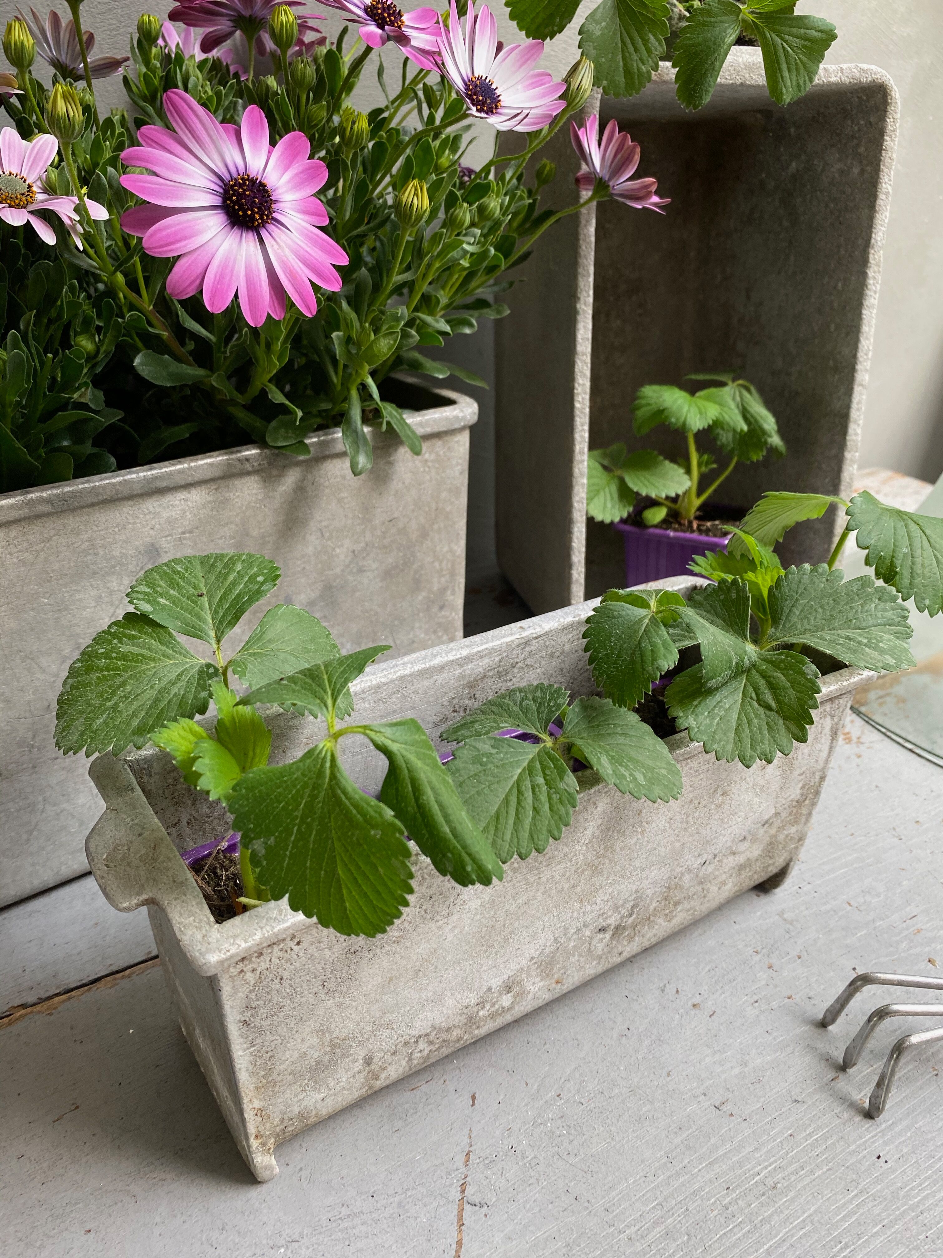 Small industrial planter