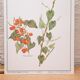 Tamier botanical plate