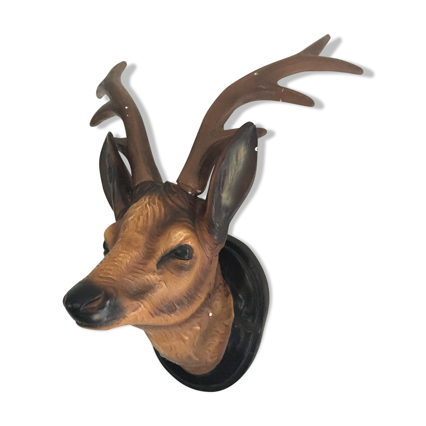 Animal deer head trophy