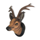 Animal deer head trophy