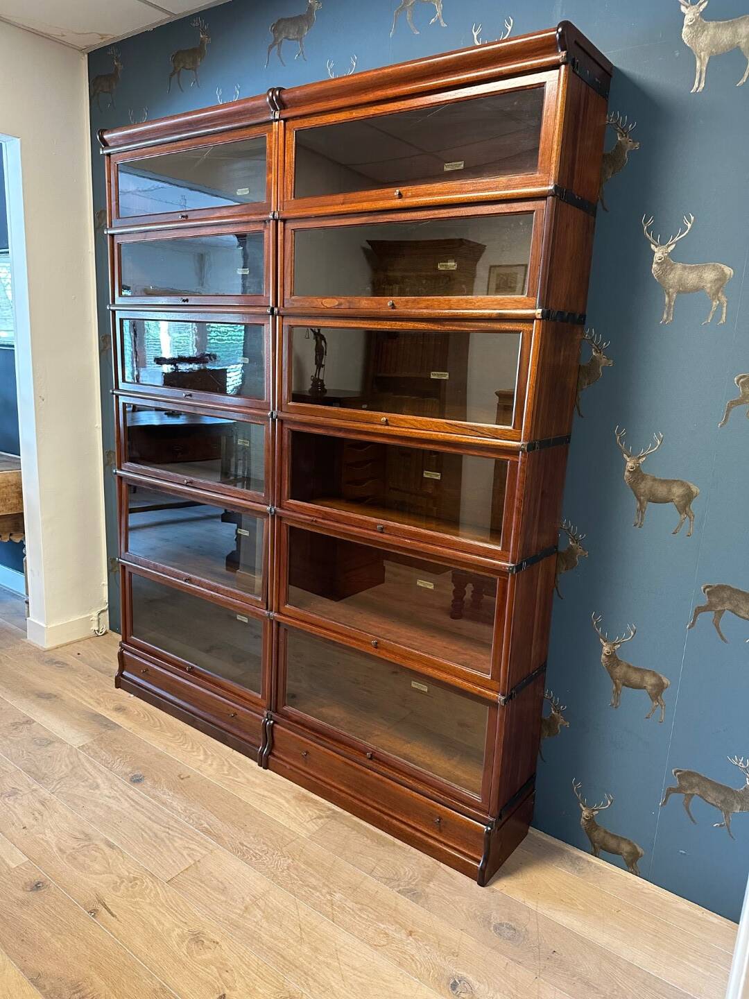 Antique Globe Wernicke bookcase