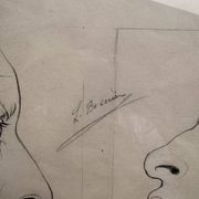 Old Engraving 19th Century Framed Anatomy Nose Mouth Plate Head Morphology