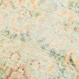 6x10 Peach Beige & Green Soft Wool Vintage Rug, 201x308Cm SK 5621