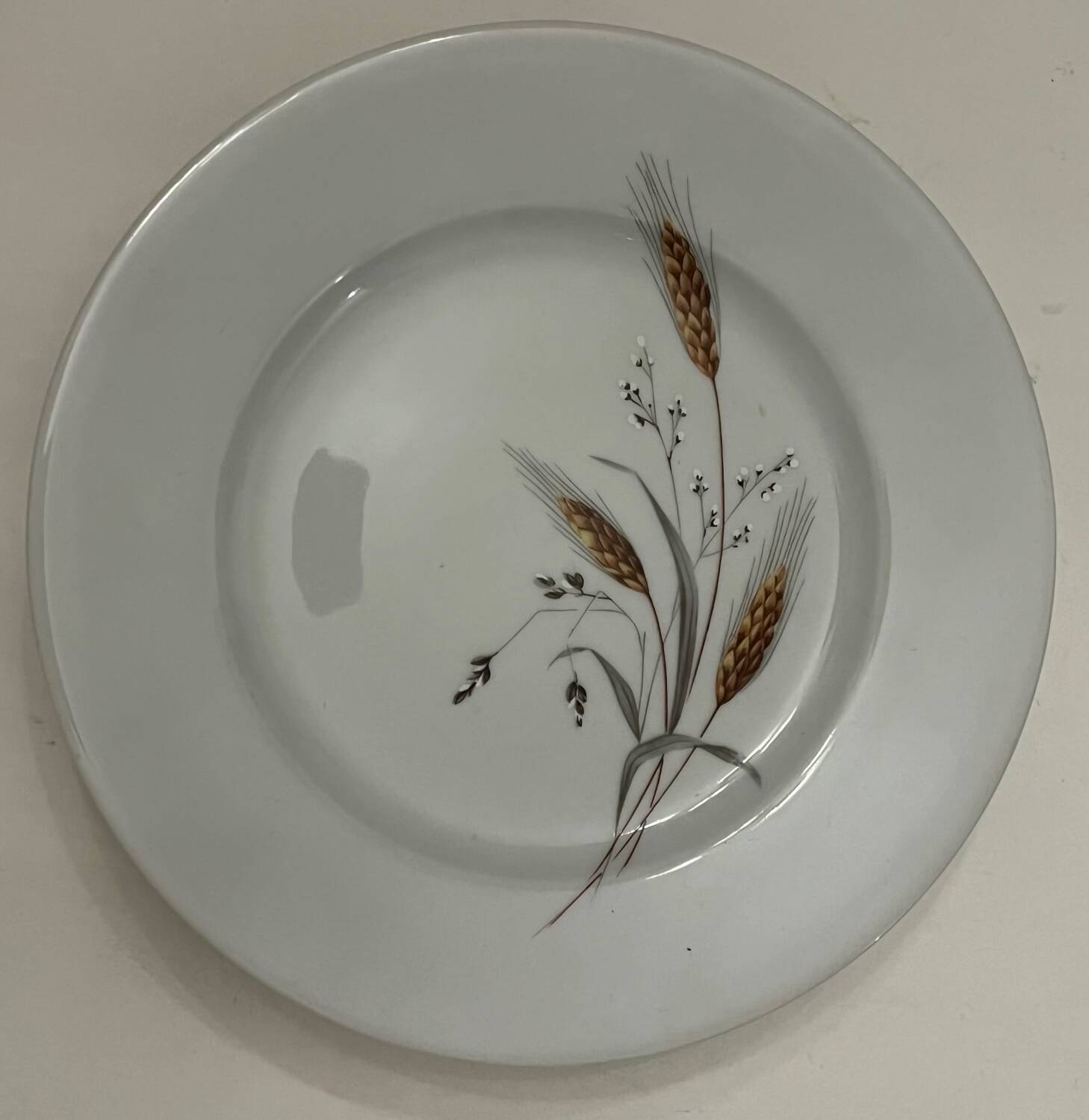 5 assiettes à dessert en porcelaine