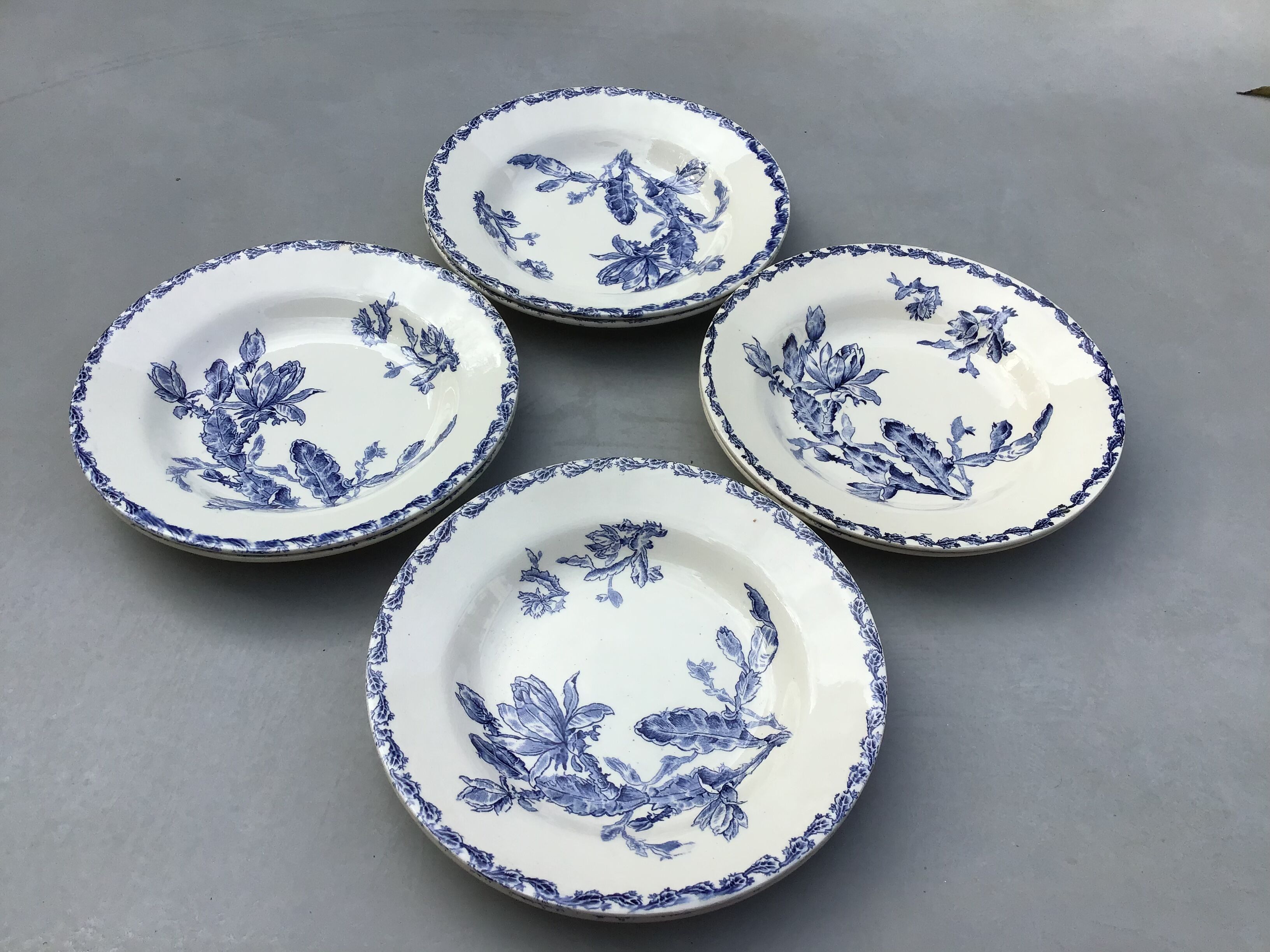 Set of 8 hollow plates Opaque porcelain from Gien decoration Cactus