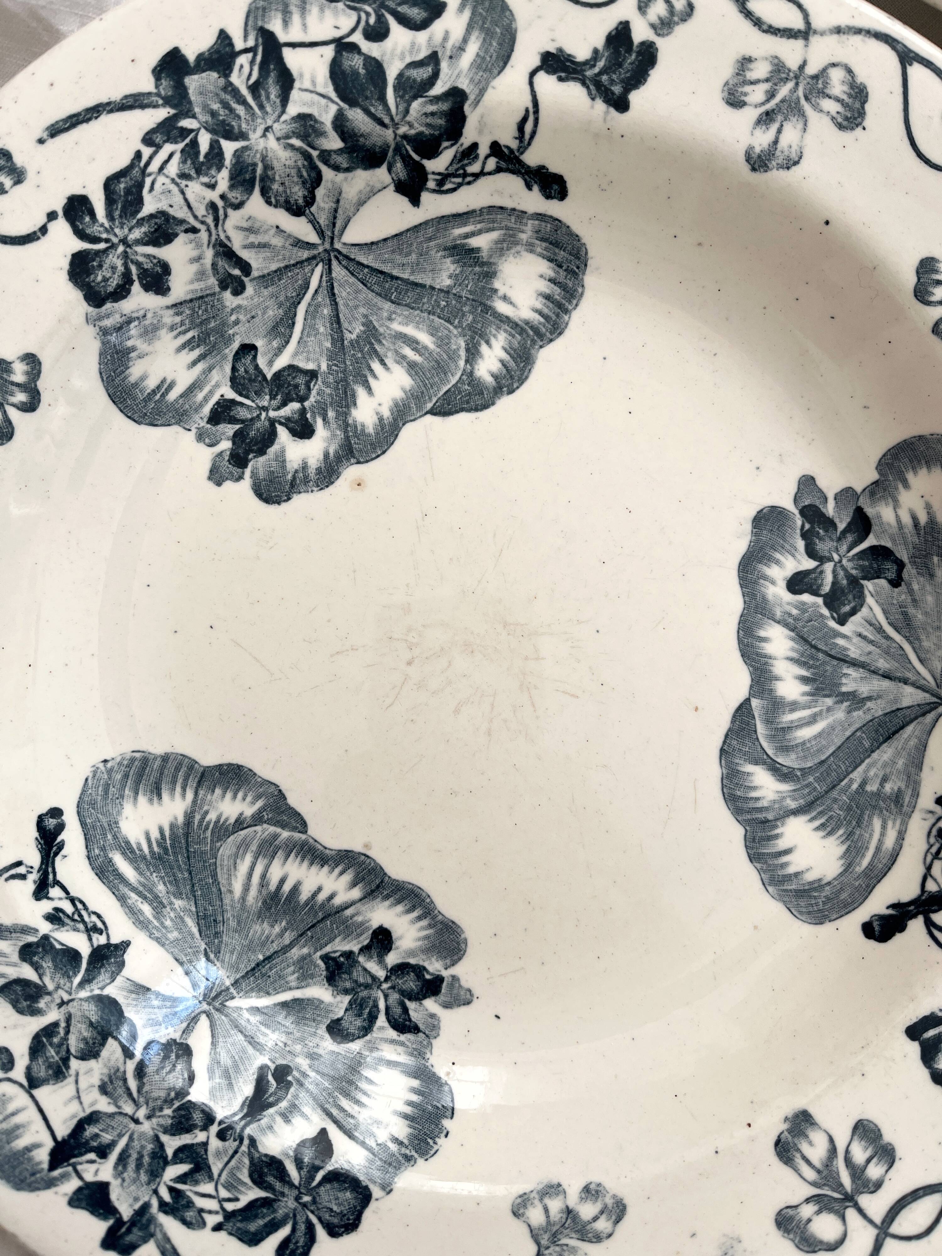 8 ironstone soup plates "Les Violettes" Salins