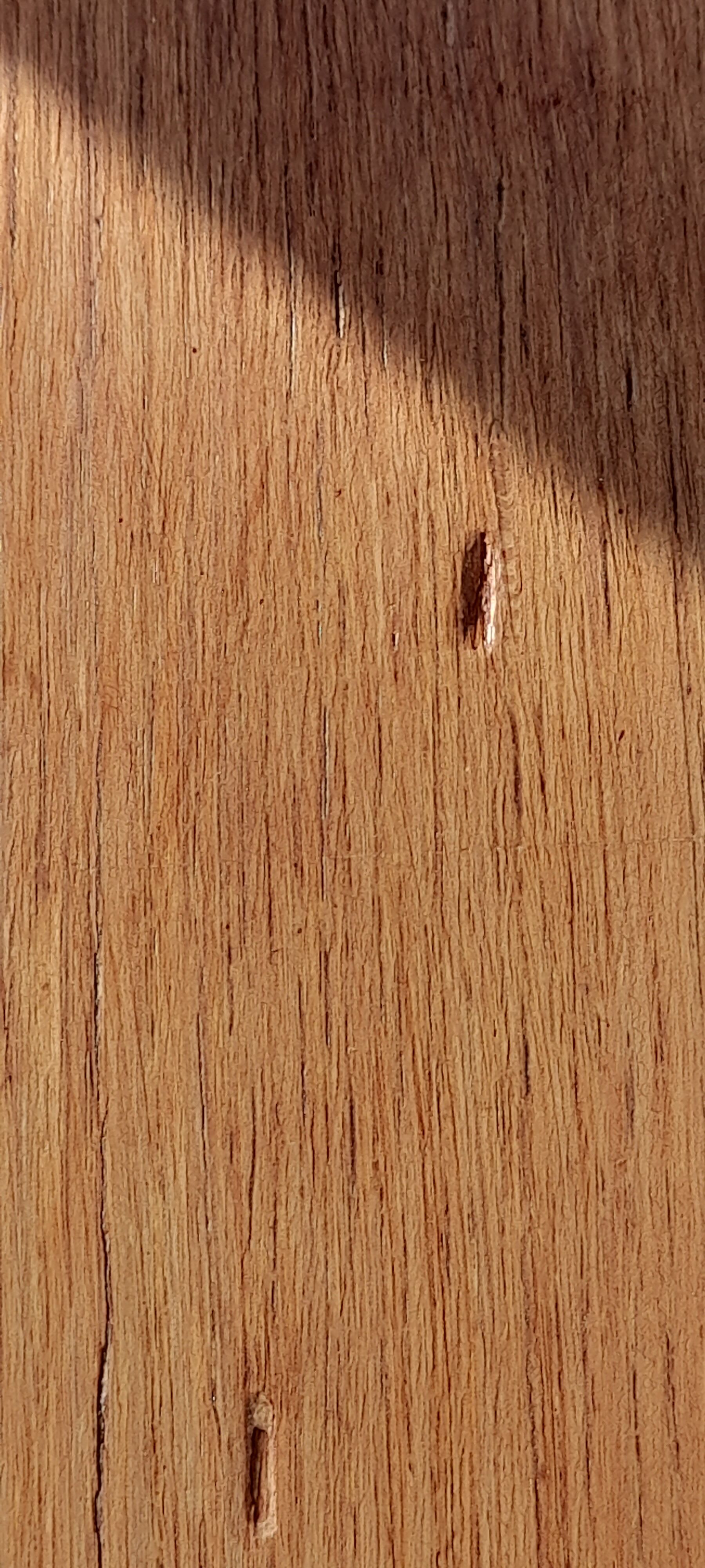 Dining table furniture sam half century with 2 extensions foot compass with 2 extensions