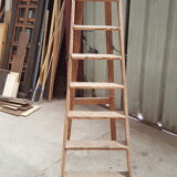 Library stepladder