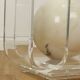 Vintage round coffee table in lucite and marbled glass.