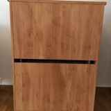 Scandinavian Secretary