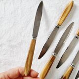 Coffret ancien avec 12 couteaux en acier inoxydable et manches en bois de cerf des années 70