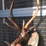 Hunting Trophy
