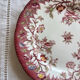 Plate Sarreguemines Minton
