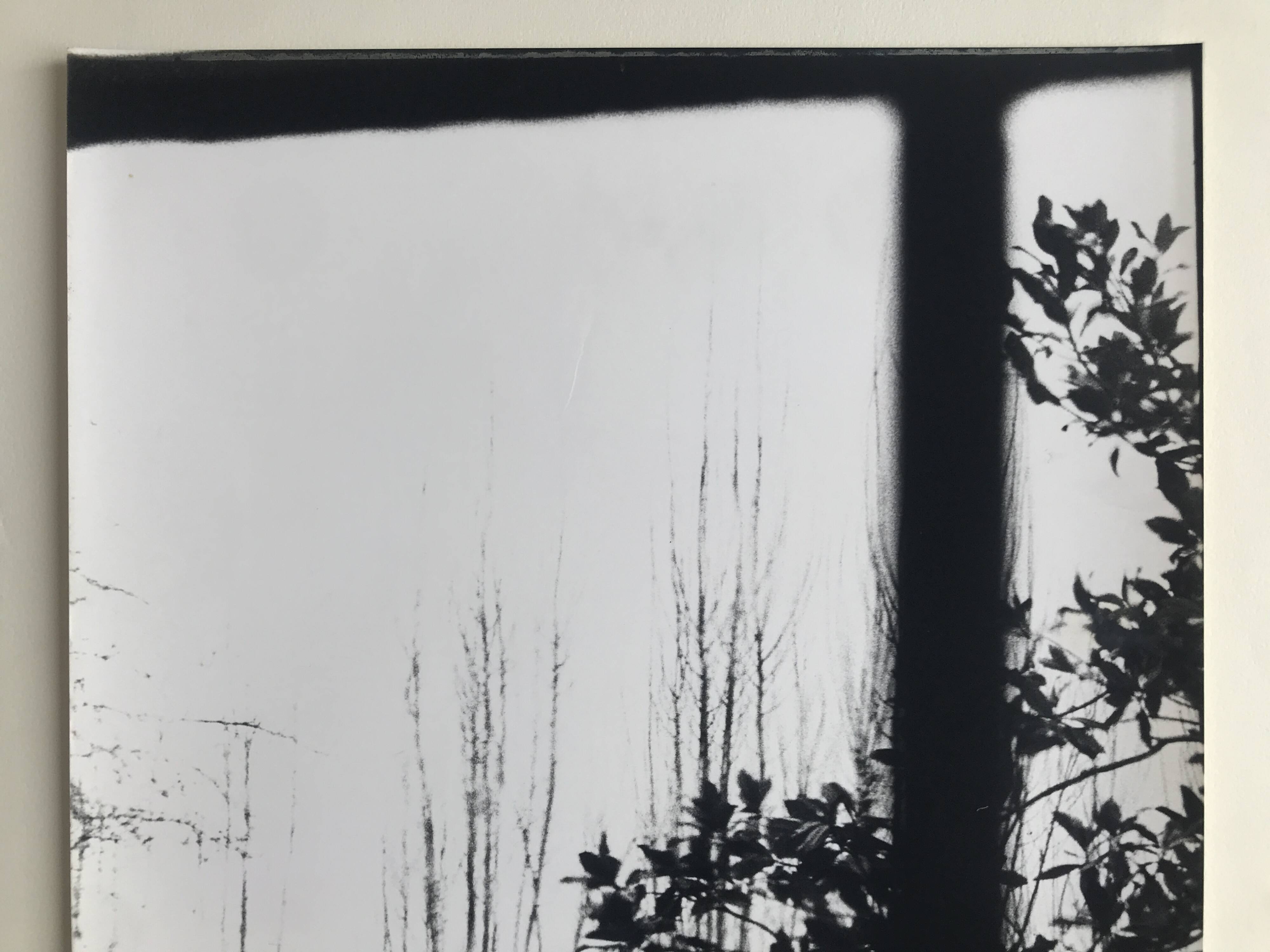 Rosine nusimovici, untitled (window), c 1980. black and white silver print