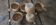 Set of 6 stoneware cups from France