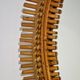 Italian sun mirror in rattan by Bonacina of the 50s 47x65cm