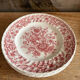6 ancient plates english ceramic
