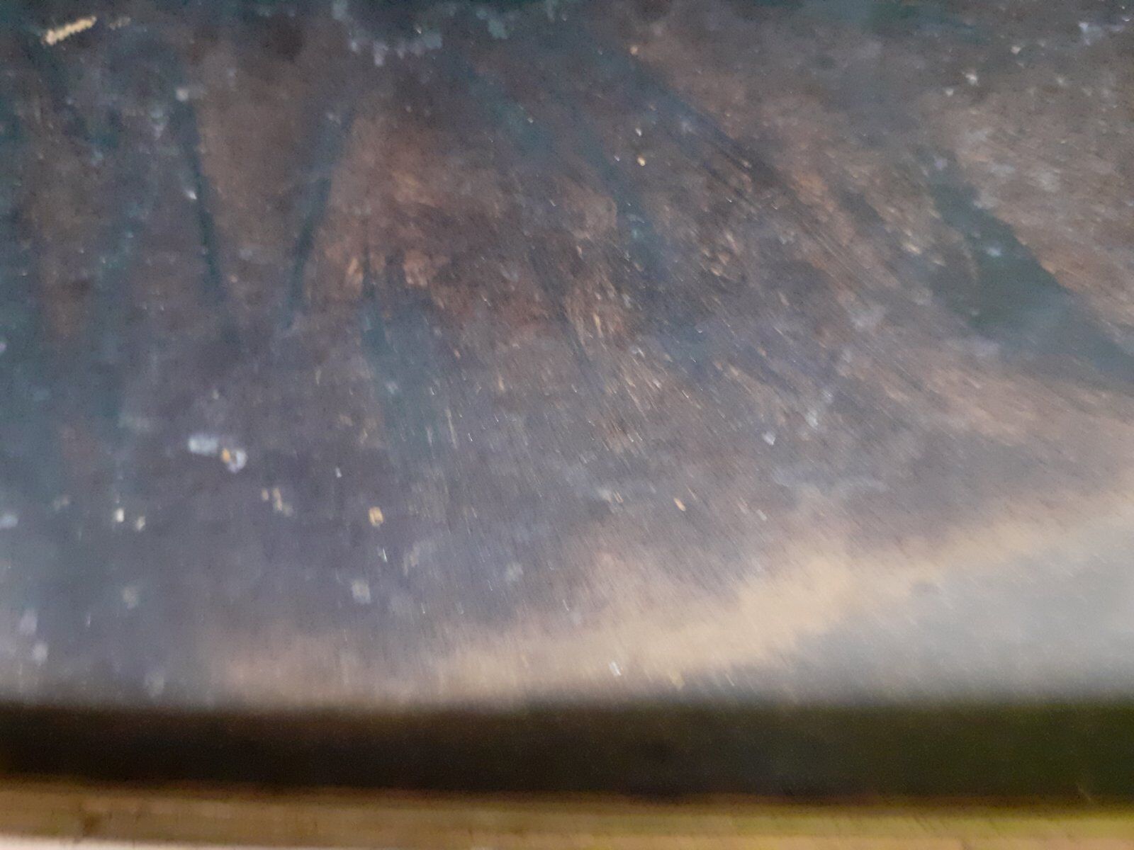 Portrait oil on cardboard