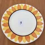 Flat plates model TOURNESOL DIGOIN