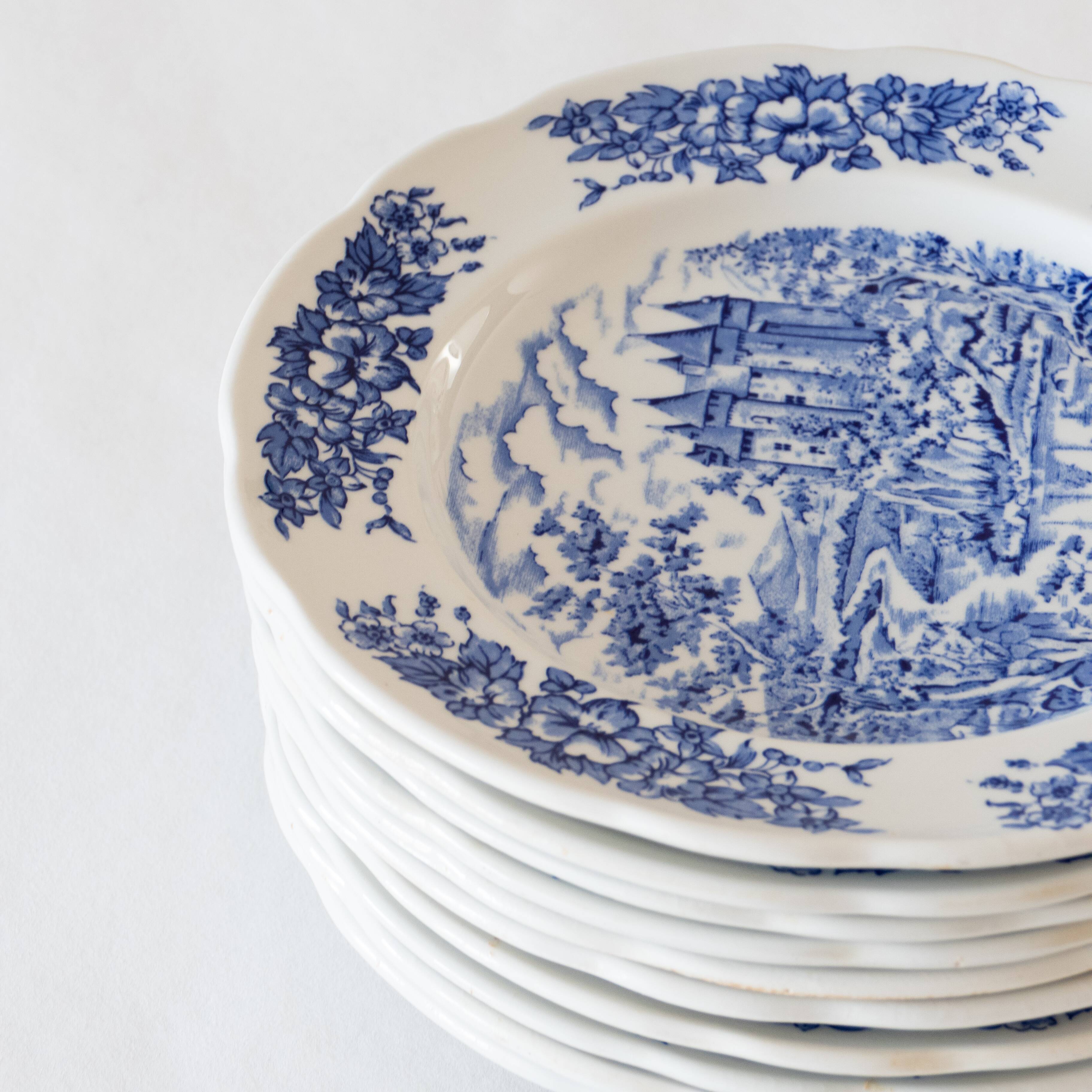 5 vintage collector's plates in pyroblan porcelain BP