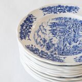 5 vintage collector's plates in pyroblan porcelain BP