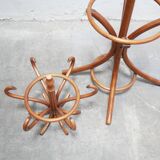 Vintage wooden parrot coat rack