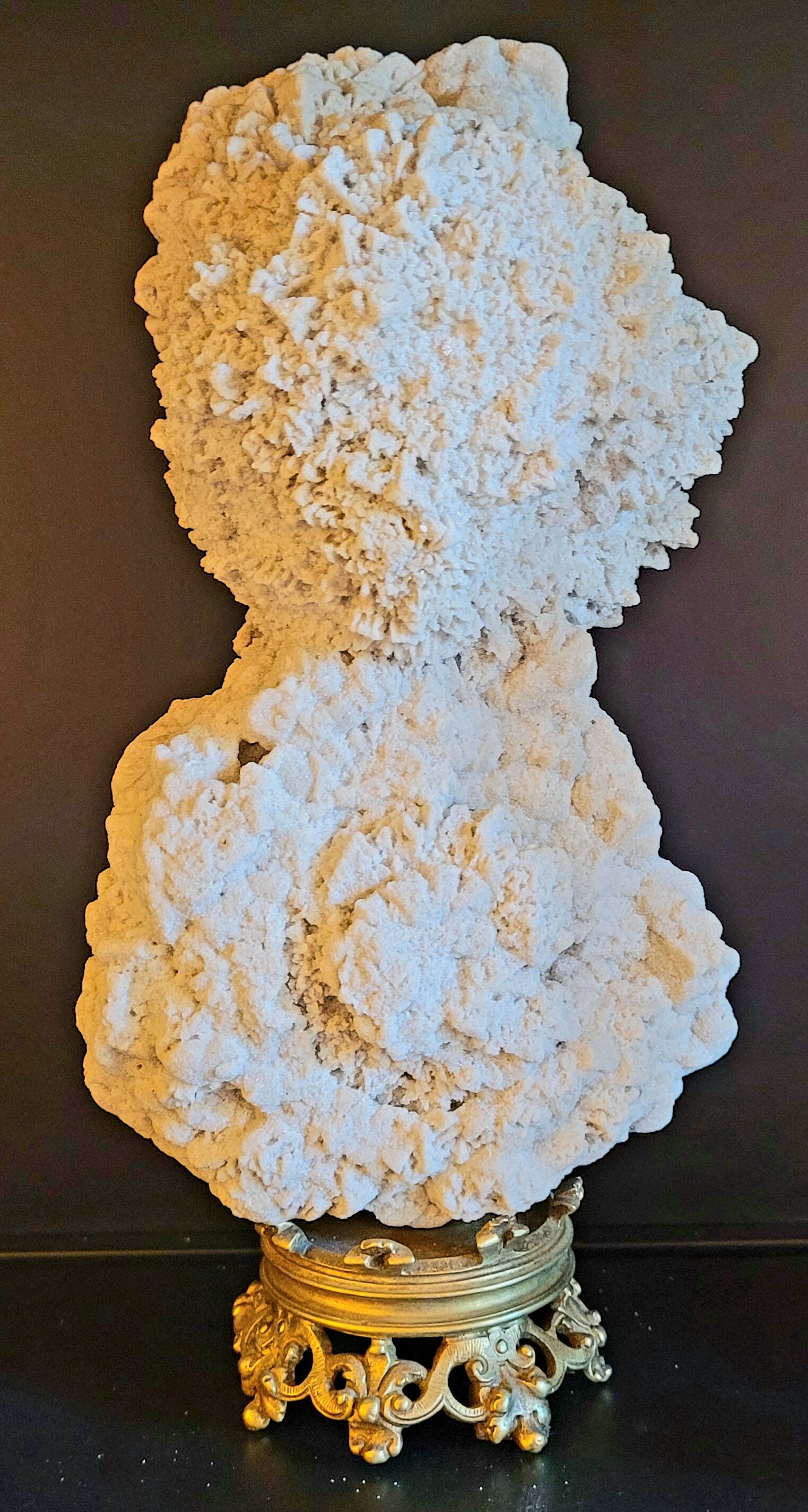 Cabinet of curiosities Naturalia and Minerals Gogotte de Fontainebleau