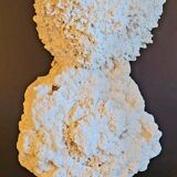 Cabinet of curiosities Naturalia and Minerals Gogotte de Fontainebleau