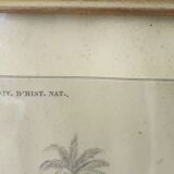 Educational framework