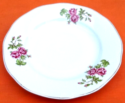 6 assiettes à fromage dessert Porcelaine blanche décor floral Arpo