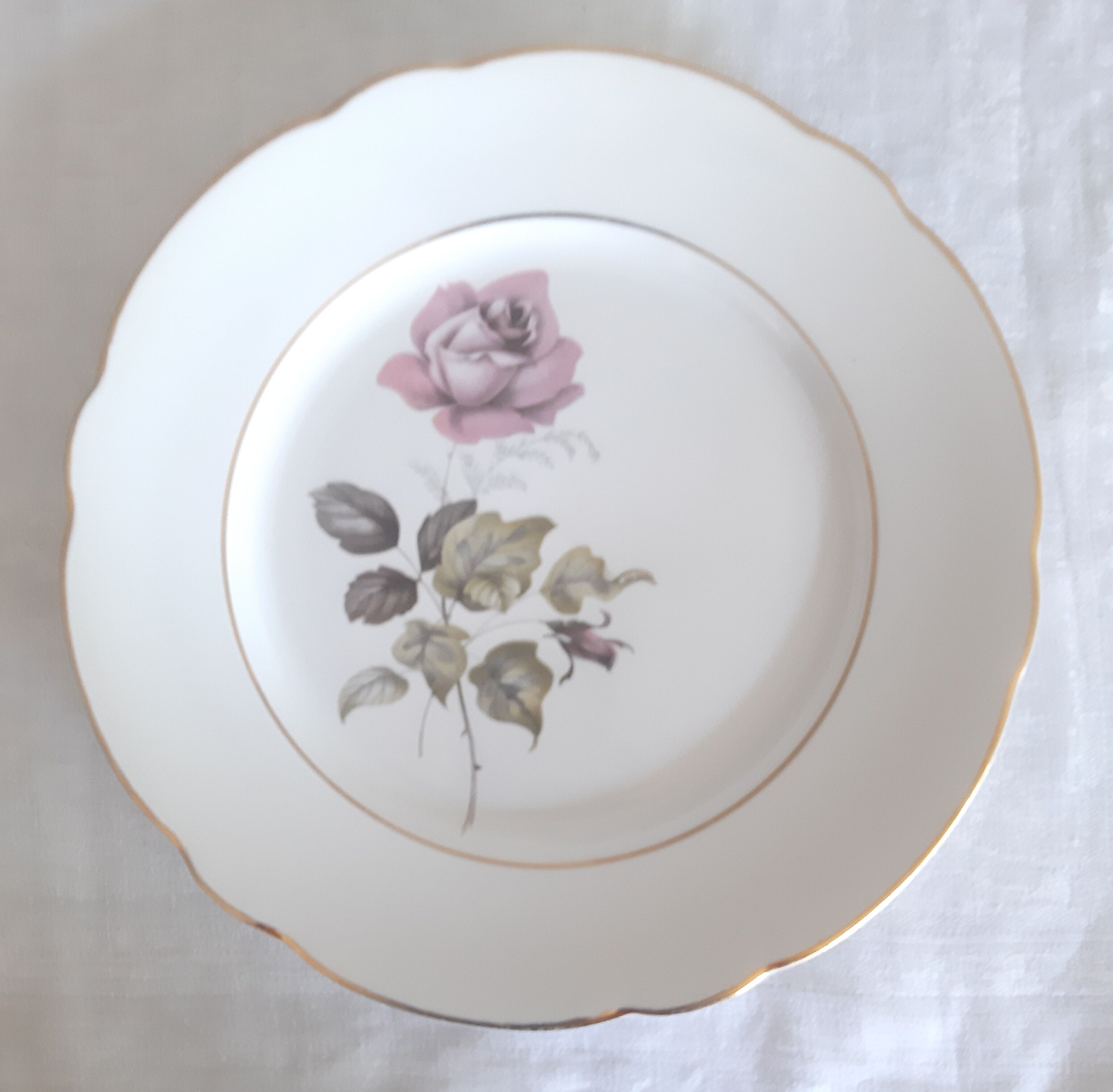 Flat plates Lunéville Badonvillier