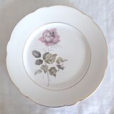 Flat plates Lunéville Badonvillier