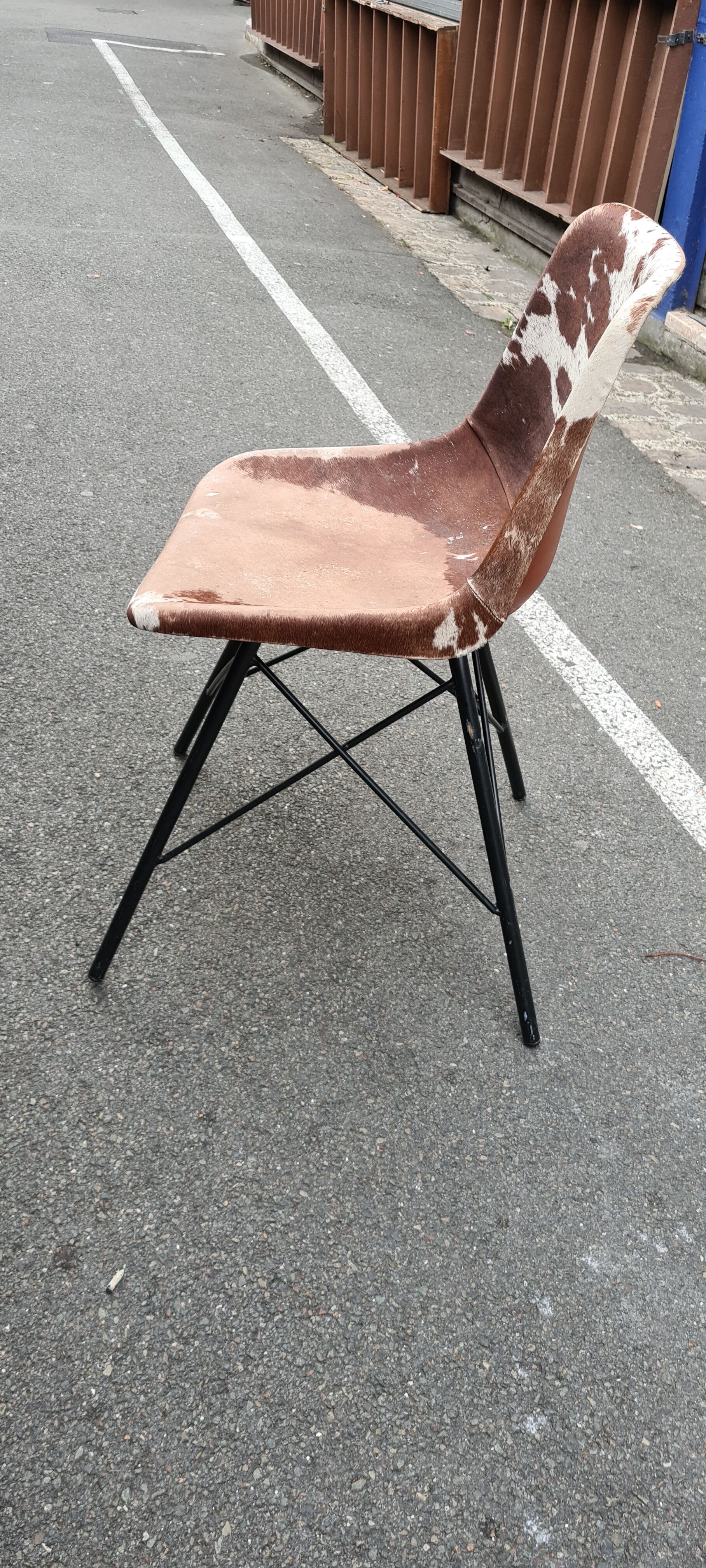 Sete of 6 cow haid chairs