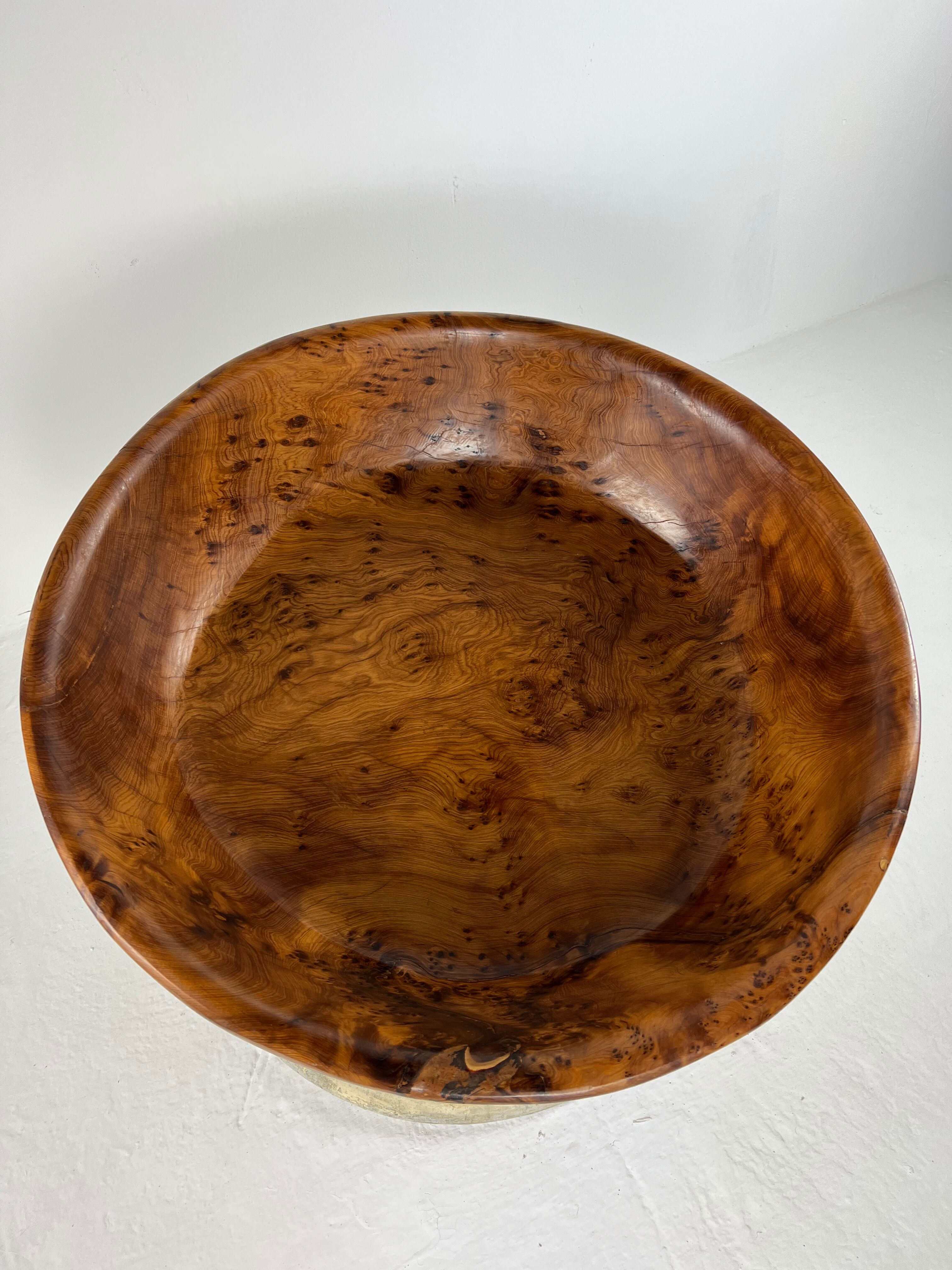 Xxl dish in tuya root