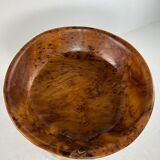 Plat xxl en racine de tuya