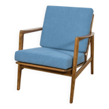 Model 300-139 Armchair from Swarzędz Factory, Poland, 1960s