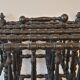 Magazine holder in blackened wood, Napoleon III partition shelf, late 19th century