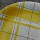 Flat earthenware of Salins