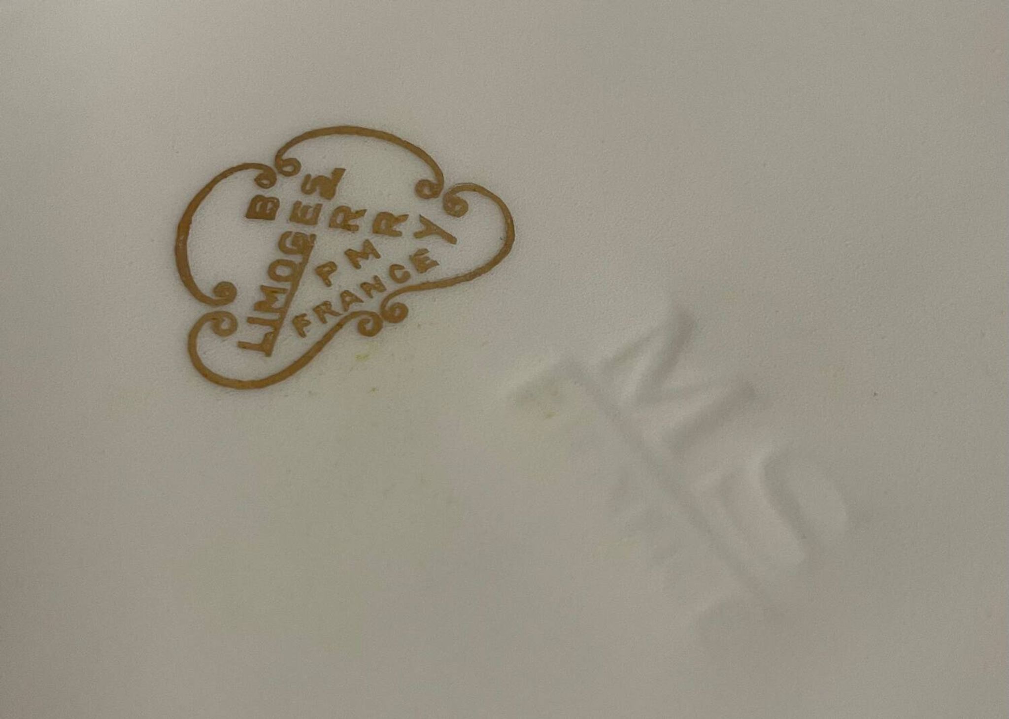 Grand Service de Table 45 Pièces, Porcelaine de Limoges BERRY Décor